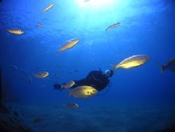 Puerto del Carmen, Lanzarote, has normally clear water wi... by Arthur Telle Thiemann 